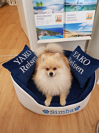 simba website.jpeg
