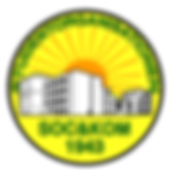 studorg_logo (2).png