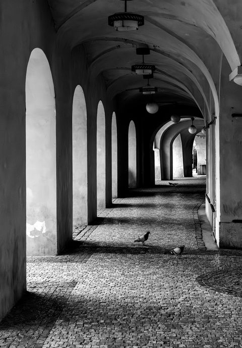 black and white landscape photograph of archways