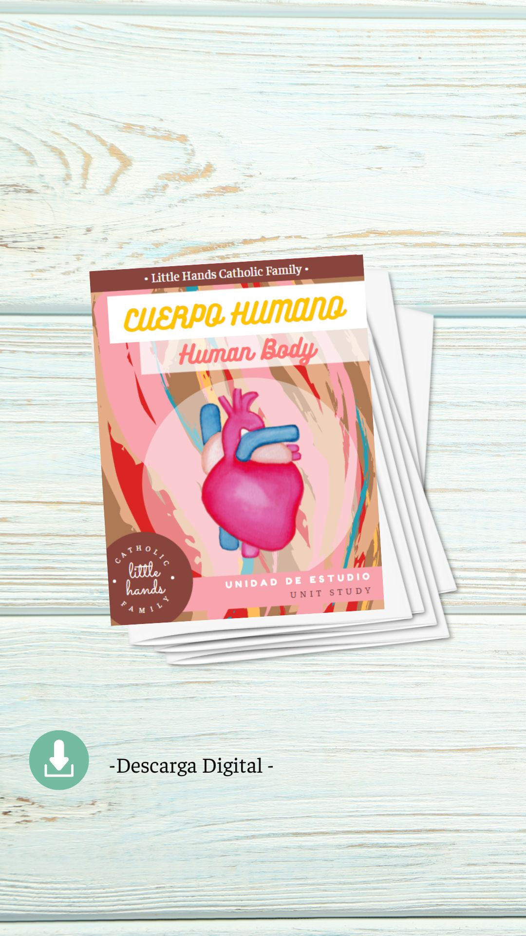 Unidad de Estudio del Cuerpo Humano