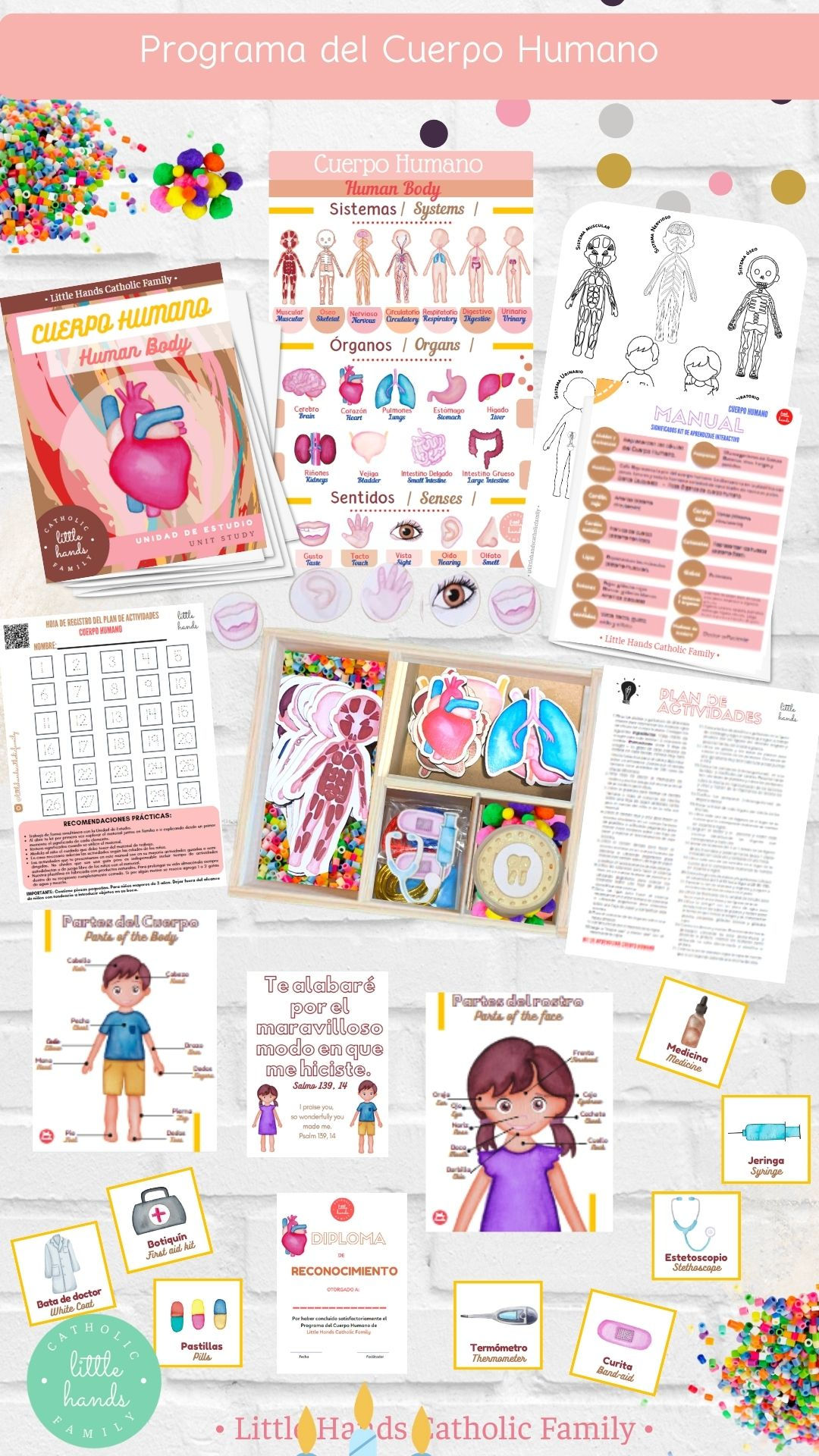 Programa del Cuerpo Humano