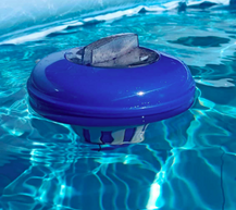 Swimming pool maintenance