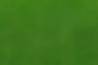 Top view of real green grass background