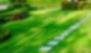Pathway in garden,green lawns with bricks pathways, garden landscape design