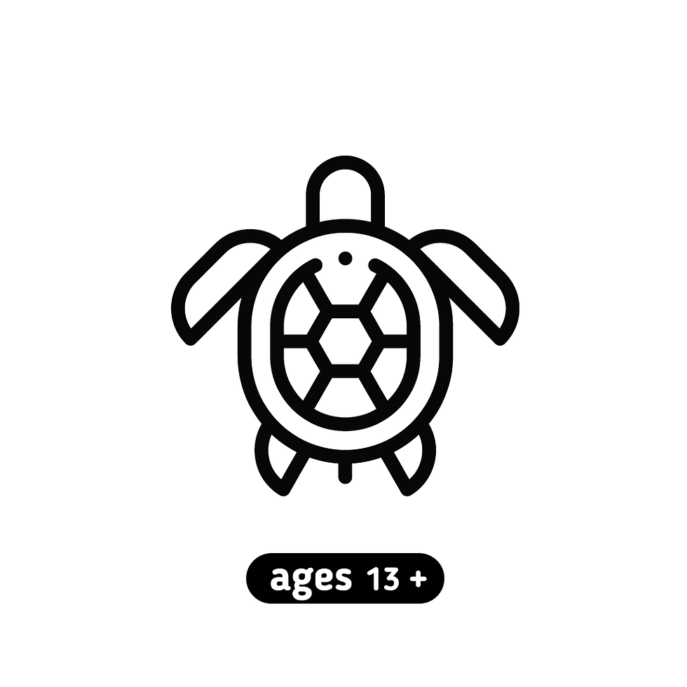 TURTLE RELEASE (AGES 13+)