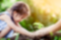 dreamstime_93411312.png