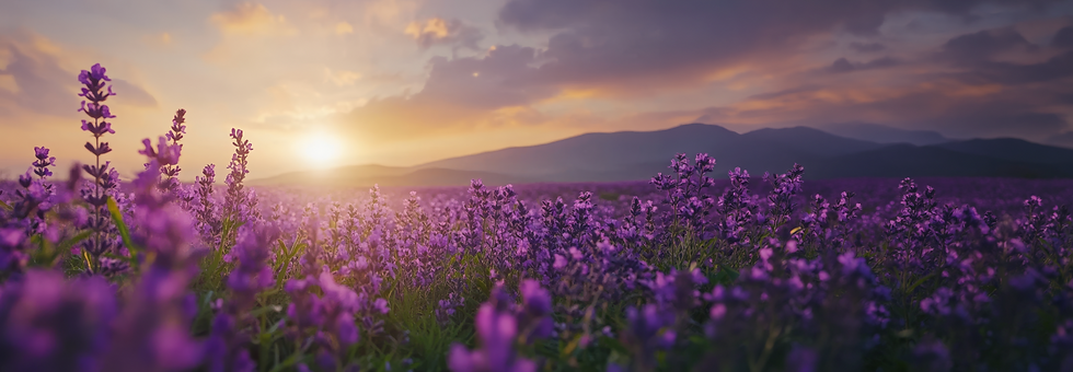 5. purple flower.png