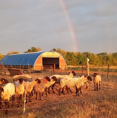 "R" Ranch Livestock