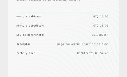 Ejemplo Boleta.jpg