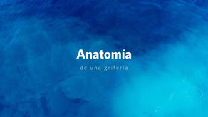 Anatomía de una grifería Stretto