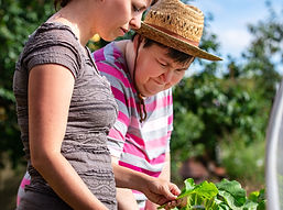 shutterstock_2031866720_edited.jpg