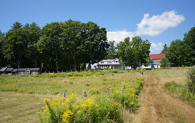 WEB-MFT-photo,-Rolling-Acres-seen-from-farm-road-to-lake.jpg