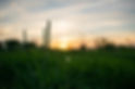 DSC_0371.jpg