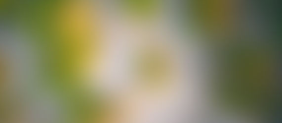 Ny myndighet för miljöprövning (Miljöprövningsmyndigheten) – Första steg mot en reformerad miljötillståndsprocess?