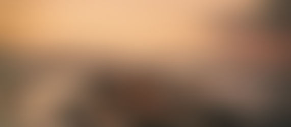 Uppdraget som bodelningsförrättare i förändring – Mot en effektivare och mer ändamålsenlig bodelningsprocess