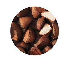 Proteina de arroz