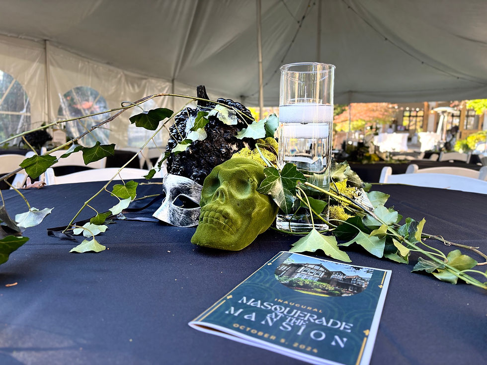 Yuengling Mansion Image