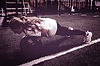 non-conventional strength (1).jpg