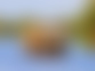 南インドってどんなところ?それぞれの州の特徴を解説