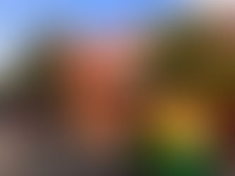 バンガロールの乾季:一年で最も心地よい季節
