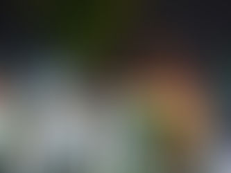 インドで感じる文化・習慣の違い!日本とのギャップに驚くことも⁉