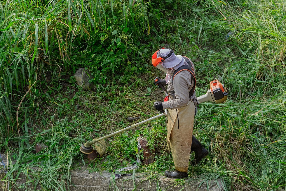 Avanza limpieza de arroyos en Poza Rica.