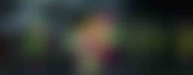 Miles de personas asisten al desfile “Vive la Vida” 2024.