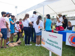 Ayuntamiento de Poza Rica invita familias a participar.