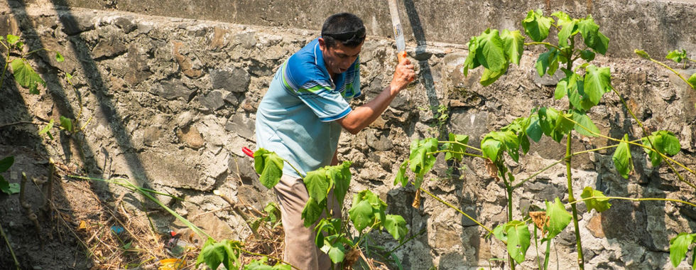 Mantienen limpios arroyos de Poza Rica.