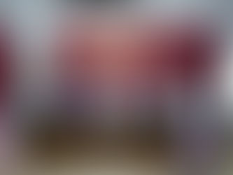 Poza Rica reunirá atención veterinaria, adopciones y concursos en un solo espacio.