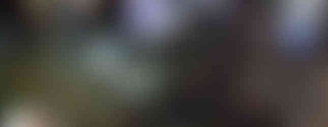 Arte, cultura y colorido se destacan en Poza Rica “Vive tu Noche”.