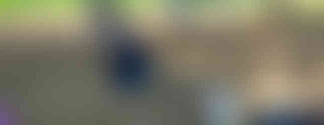 Implementa SSP más de 500 acciones de atención a Redes Vecinales.