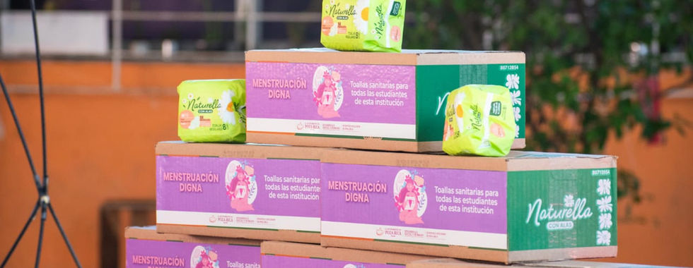 Implementan programa “Menstruación Digna” en Poza Rica.