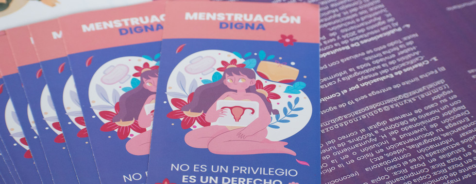 Sesiona Consejo Municipal de Jóvenes de Poza Rica.