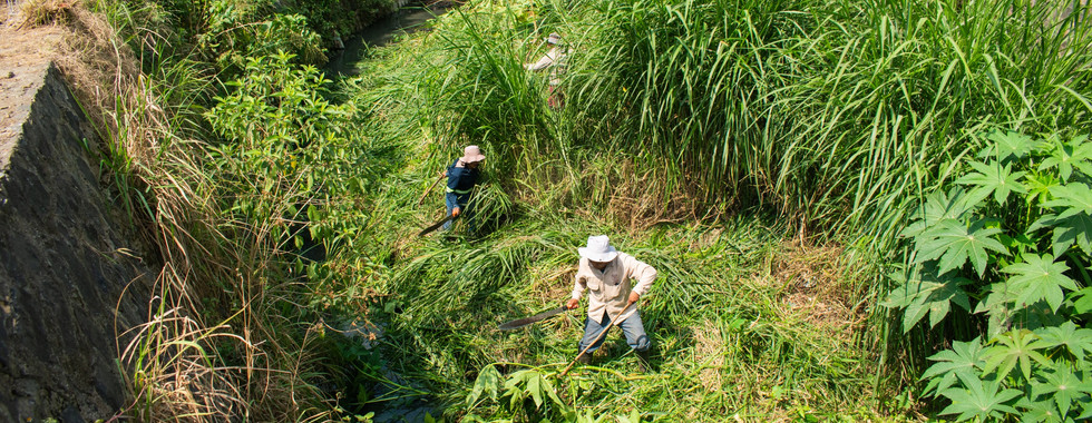 Dan limpieza a arroyos de Poza Rica.