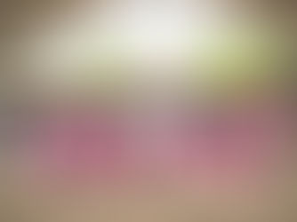 Gobierno Estatal y Municipal transforman vidas en Plaza Cívica.