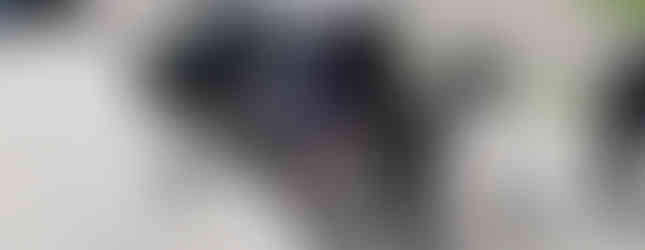 Acciones permanentes y coordinadas en zona norte para preservar el orden: CZB.