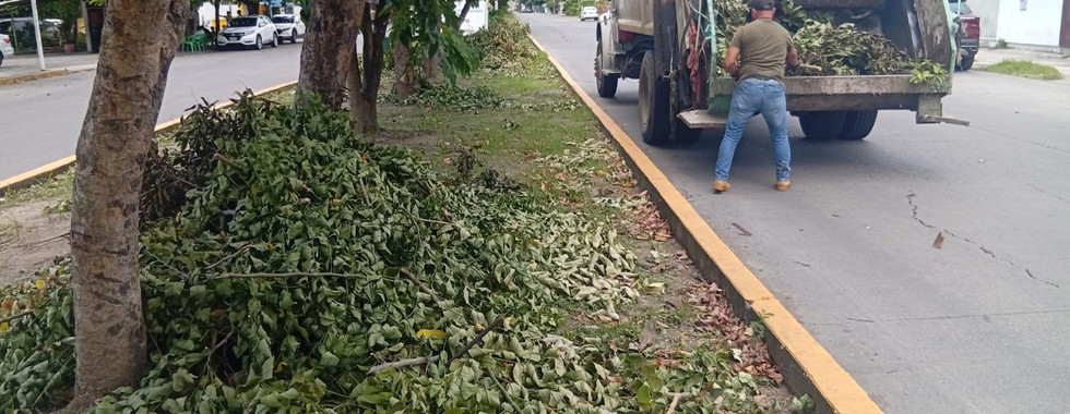 Más limpieza y menos baches en Poza Rica.