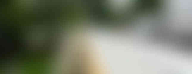 Mejoran colonias y escuelas con obras públicas en Poza Rica.