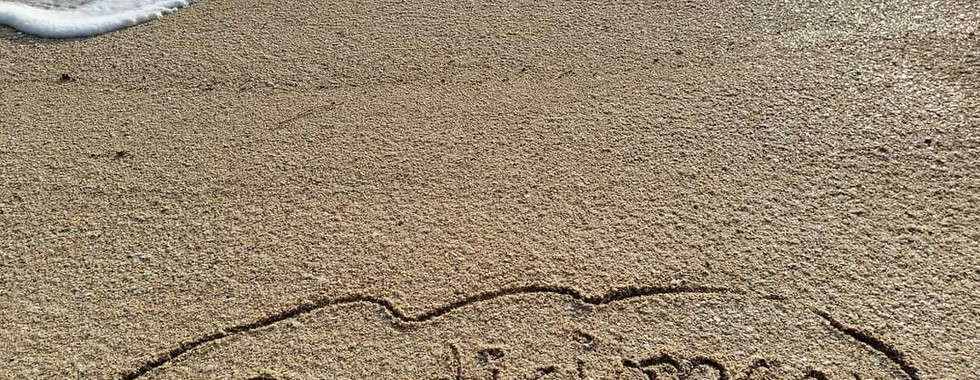 Destinos de playa o pueblos mágicos, los preferidos en puentes vacacionales.