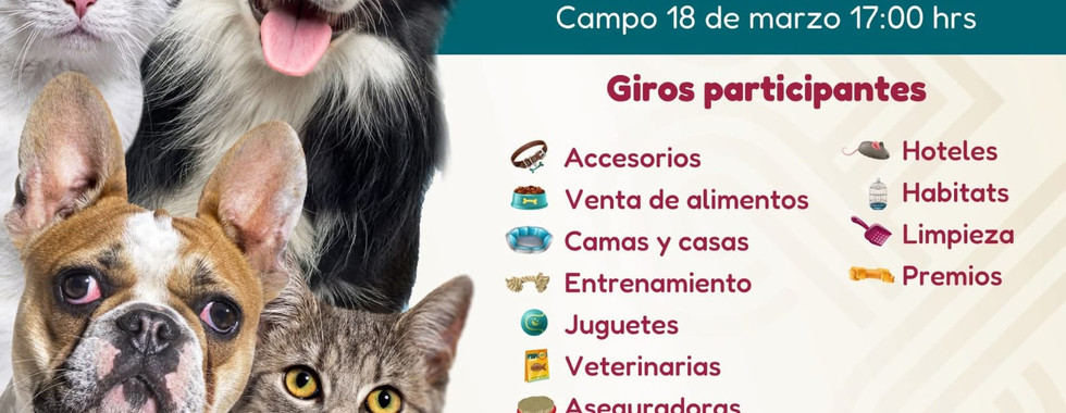 Se acerca Feria del Bienestar Animal 2025. 15