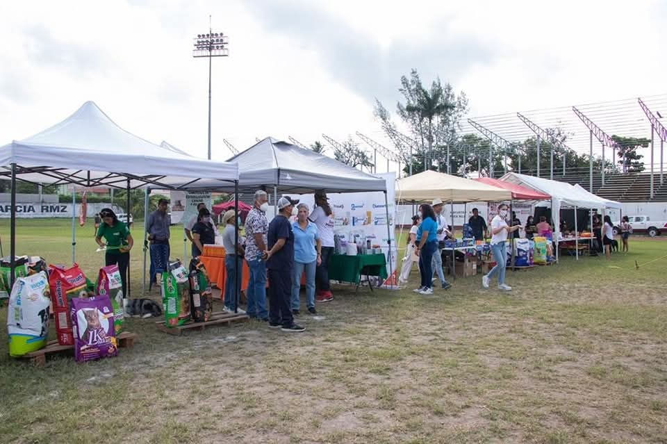 Servicios y diversión para mascotas en la Feria del Bienestar Animal 2025.