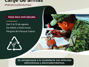 Del 11 al 15 de agosto, canjea armas por electrodomƩsticos en el Parque JuƔrez.