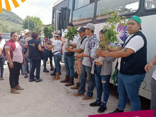 ¡Celebran 119 años de Rotary International sembrando 12,200 árboles!