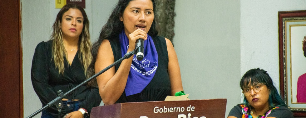 Poza Rica se suma a "16 Días de Activismo Contra la Violencia de Género".