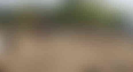 Ayuntamiento de Poza Rica transforma parques y áreas verdes.