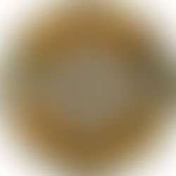 Red's Rentals & Marina 