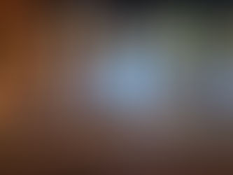 Retrospectiva do Carnaval da Nação com tudo que temos direito!