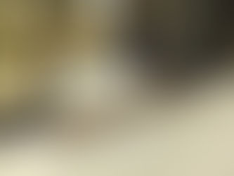 こだわりの出入り口スロープ