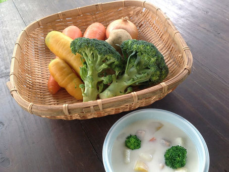 島産冬野菜のチキンクリームシチュー